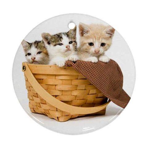 Kittens in a basket Ornament (Round) from ZippyPress Front