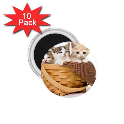 Kittens in a basket 1.75  Magnet (10 pack)  from ZippyPress Front