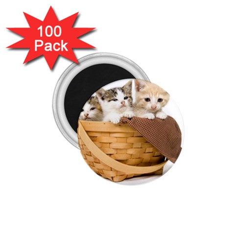 Kittens in a basket 1.75  Magnet (100 pack)  from ZippyPress Front
