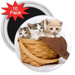 Kittens in a basket 3  Magnet (10 pack)