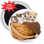 Kittens in a basket 3  Magnet (100 pack)