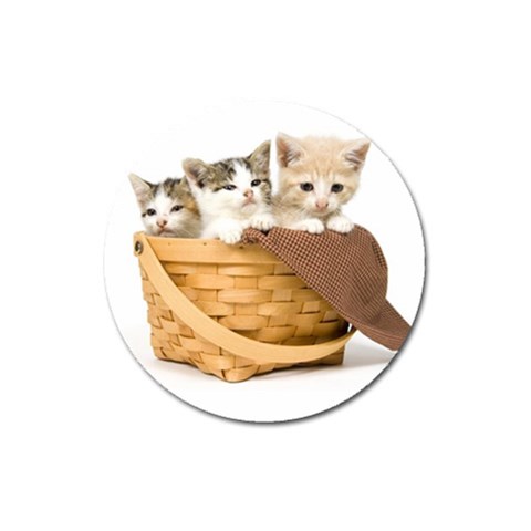 Kittens in a basket Magnet 3  (Round) from ZippyPress Front