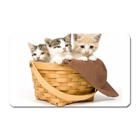 Kittens in a basket Magnet (Rectangular) from ZippyPress Front
