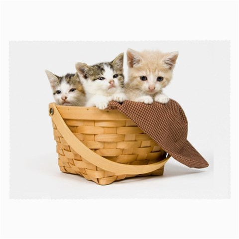 Kittens in a basket Glasses Cloth (Large) from ZippyPress Front