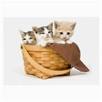 Kittens in a basket Glasses Cloth (Large)