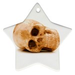 White Skull Ornament (Star)