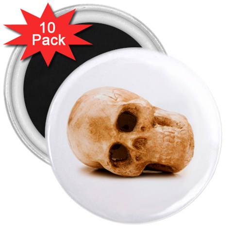 White Skull 3  Magnet (10 pack) from ZippyPress Front