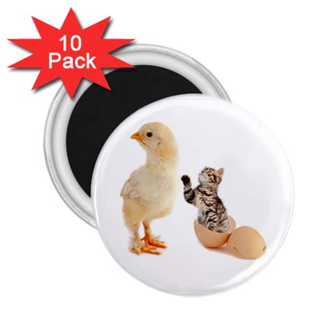 Kitten in an egg with chick 2.25  Magnet (10 pack) from ZippyPress Front