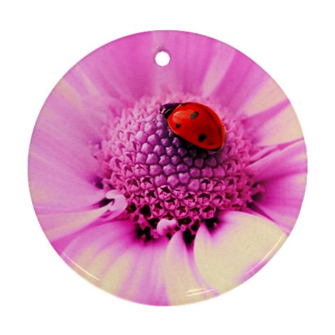 Ladybug On a Flower Ornament (Round) from ZippyPress Front