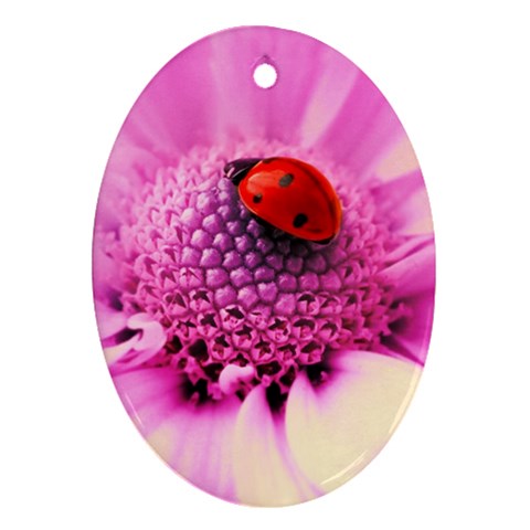 Ladybug On a Flower Ornament (Oval) from ZippyPress Front