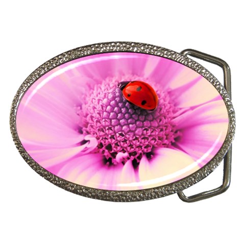 Ladybug On a Flower Belt Buckle from ZippyPress Front