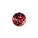 Pink Roses Flowers Love Nature 1  Mini Magnets