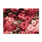 Pink Roses Flowers Love Nature Sticker A4 (100 pack)