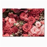 Pink Roses Flowers Love Nature Postcard 4 x 6  (Pkg of 10)