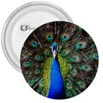 Peacock Bird Feathers Pheasant Nature Animal Texture Pattern 3  Buttons