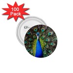 Peacock Bird Feathers Pheasant Nature Animal Texture Pattern 1.75  Buttons (100 pack) 