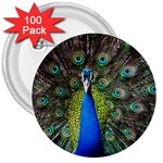 Peacock Bird Feathers Pheasant Nature Animal Texture Pattern 3  Buttons (100 pack) 