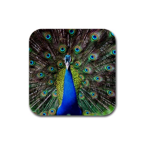 Peacock Bird Feathers Pheasant Nature Animal Texture Pattern Rubber Square Coaster (4 pack) from ZippyPress Front
