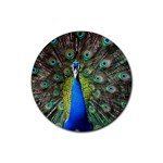 Peacock Bird Feathers Pheasant Nature Animal Texture Pattern Rubber Round Coaster (4 pack)