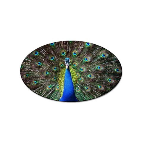 Peacock Bird Feathers Pheasant Nature Animal Texture Pattern Sticker Oval (100 pack) from ZippyPress Front
