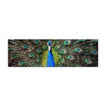 Peacock Bird Feathers Pheasant Nature Animal Texture Pattern Sticker Bumper (100 pack)