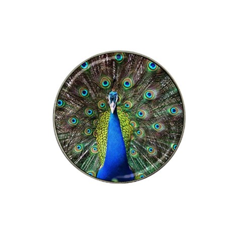 Peacock Bird Feathers Pheasant Nature Animal Texture Pattern Hat Clip Ball Marker (4 pack) from ZippyPress Front