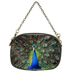 Peacock Bird Feathers Pheasant Nature Animal Texture Pattern Chain Purse (Two Sides)
