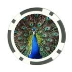 Peacock Bird Feathers Pheasant Nature Animal Texture Pattern Poker Chip Card Guard (10 pack)