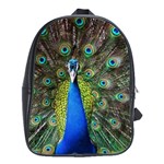 Peacock Bird Feathers Pheasant Nature Animal Texture Pattern School Bag (Large)