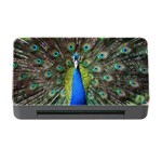 Peacock Bird Feathers Pheasant Nature Animal Texture Pattern Memory Card Reader with CF