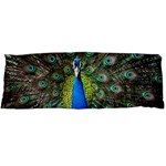 Peacock Bird Feathers Pheasant Nature Animal Texture Pattern Body Pillow Case (Dakimakura)