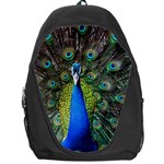 Peacock Bird Feathers Pheasant Nature Animal Texture Pattern Backpack Bag