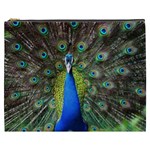 Peacock Bird Feathers Pheasant Nature Animal Texture Pattern Cosmetic Bag (XXXL)