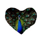 Peacock Bird Feathers Pheasant Nature Animal Texture Pattern Standard 16  Premium Heart Shape Cushions