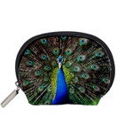 Peacock Bird Feathers Pheasant Nature Animal Texture Pattern Accessory Pouch (Small)