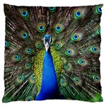 Peacock Bird Feathers Pheasant Nature Animal Texture Pattern Large Premium Plush Fleece Cushion Case (Two Sides)
