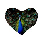 Peacock Bird Feathers Pheasant Nature Animal Texture Pattern Standard 16  Premium Flano Heart Shape Cushions