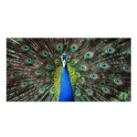 Peacock Bird Feathers Pheasant Nature Animal Texture Pattern Satin Shawl 45  x 80 