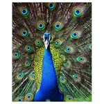 Peacock Bird Feathers Pheasant Nature Animal Texture Pattern Drawstring Bag (Small)