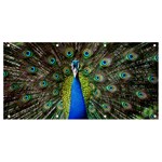 Peacock Bird Feathers Pheasant Nature Animal Texture Pattern Banner and Sign 8  x 4 