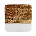 Peacock Bird Feathers Pheasant Nature Animal Texture Pattern Marble Wood Coaster (Square)