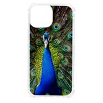 Peacock Bird Feathers Pheasant Nature Animal Texture Pattern iPhone 13 mini TPU UV Print Case