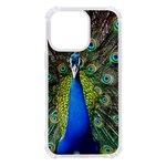 Peacock Bird Feathers Pheasant Nature Animal Texture Pattern iPhone 13 Pro TPU UV Print Case