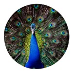 Peacock Bird Feathers Pheasant Nature Animal Texture Pattern Round Glass Fridge Magnet (4 pack)