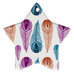 Pen Peacock Colors Colored Pattern Star Ornament (Two Sides)