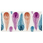 Pen Peacock Colors Colored Pattern Banner and Sign 6  x 3 