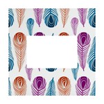 Pen Peacock Colors Colored Pattern White Box Photo Frame 4  x 6 