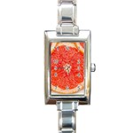 Grapefruit-fruit-background-food Rectangle Italian Charm Watch