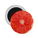 Grapefruit-fruit-background-food 2.25  Magnets
