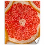Grapefruit-fruit-background-food Canvas 16  x 20 